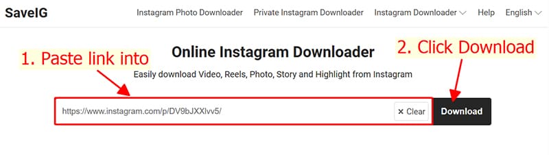 Paste the Instagram link into saveig